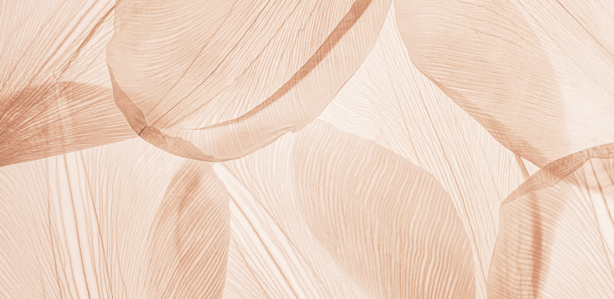 Envases sostenibles 4