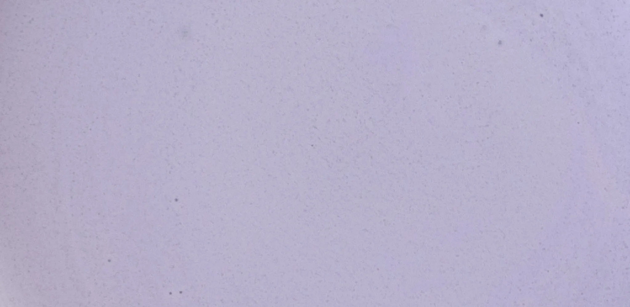 ingredients-PEDIATRICS